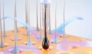 Benefit Illustration