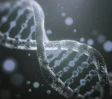 Epigenetic Age