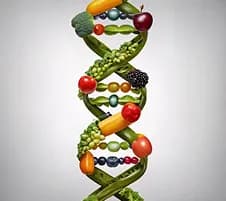 Nutrigenomic & Metabolic Pathways