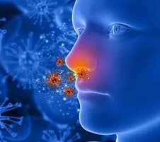 Inflammation & Autoimmune Risk