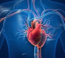 Sleep & Circadian Genes