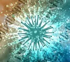 Microbial Diversity & Balance