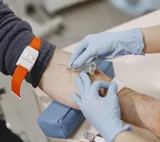 Immunoglobulin Levels