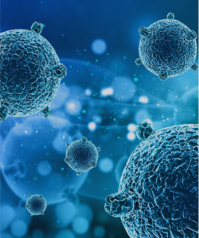 Immunity & Longevity